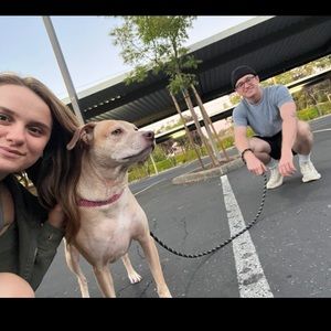 Meet your Posher, Brett